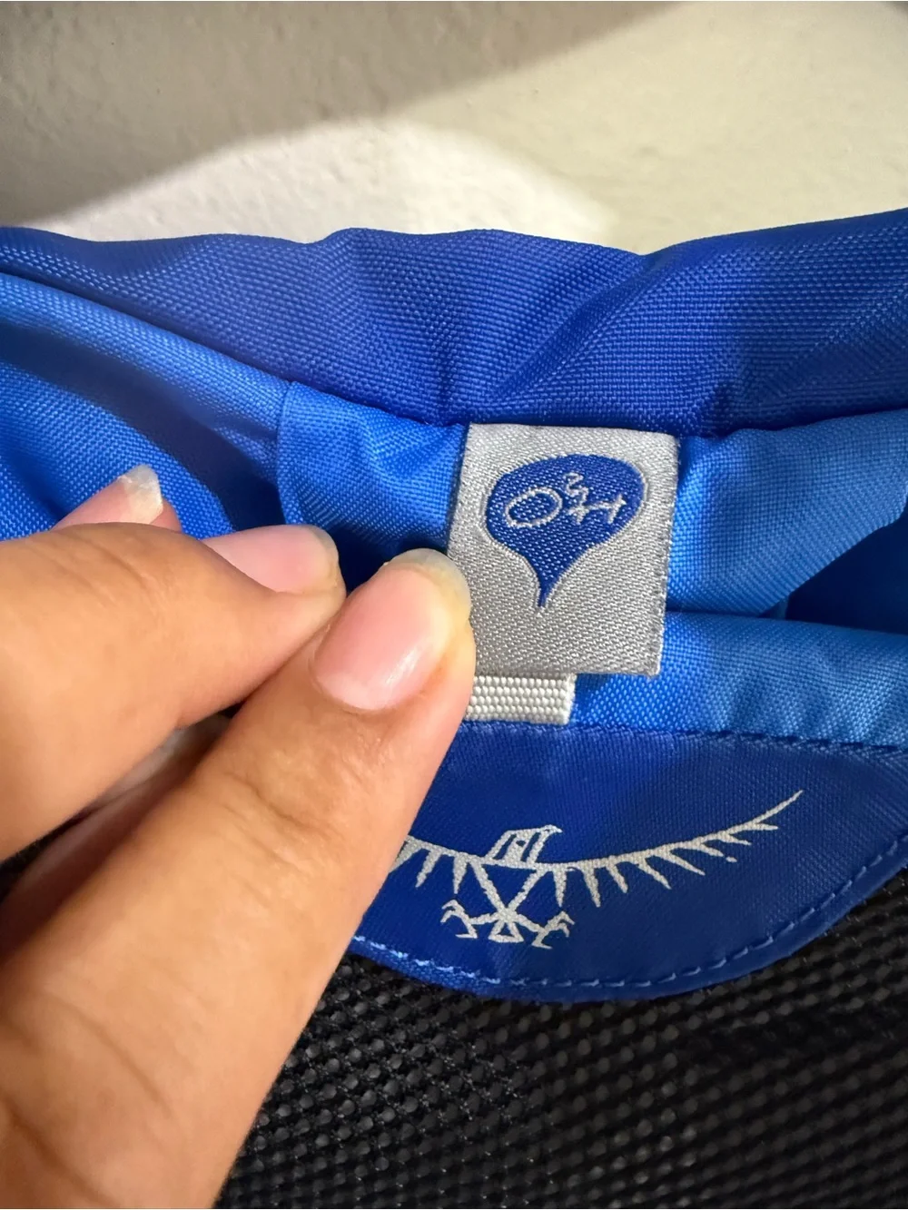 OSPREY Blue Daypack with White Trim